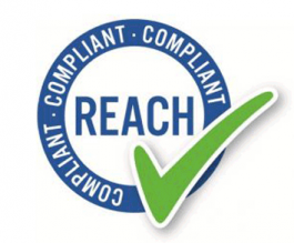 REACH Statement